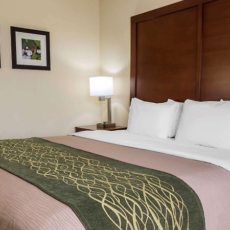 Comfort Inn - Pocono Mountains White Haven Kültér fotó