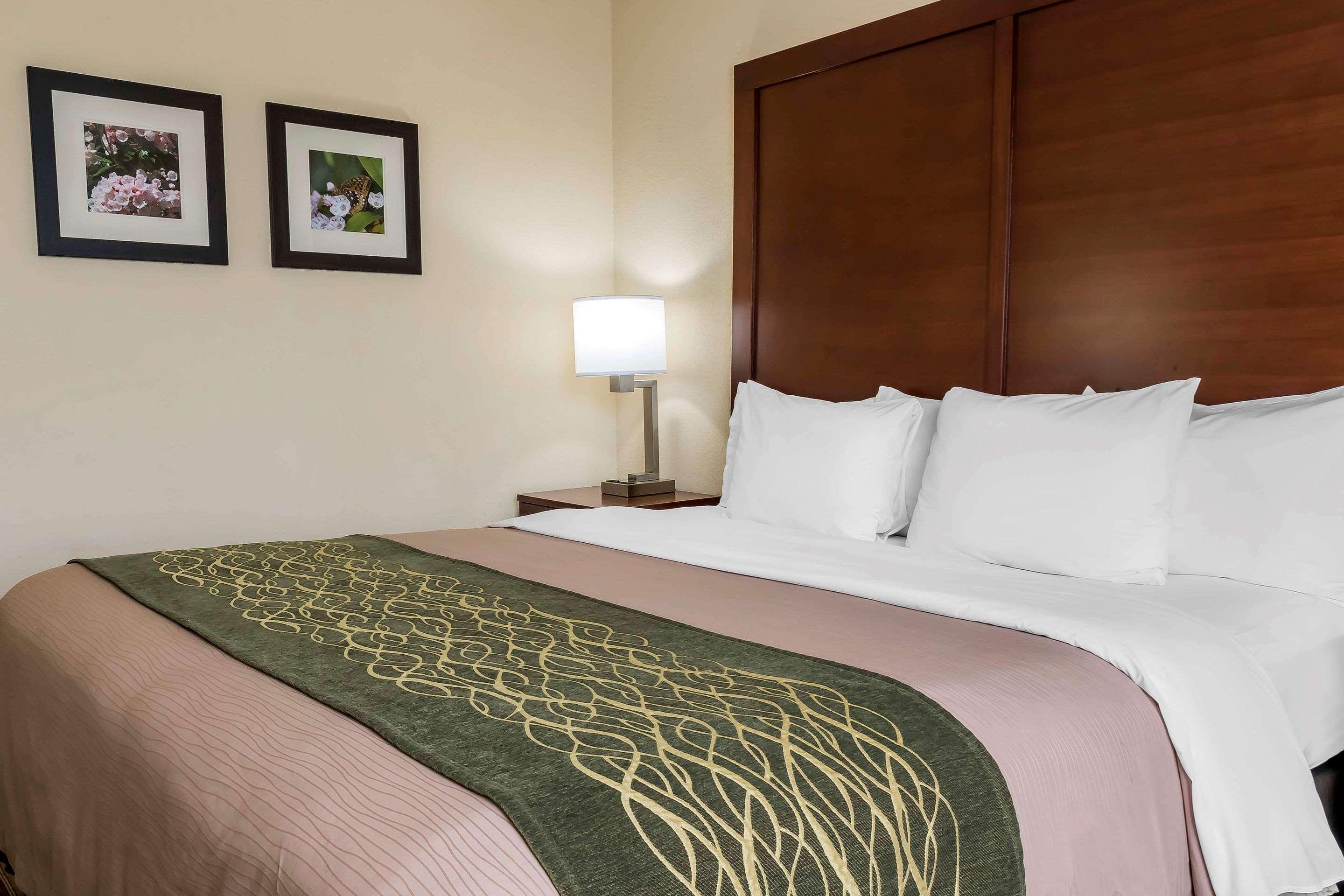 Comfort Inn - Pocono Mountains White Haven Kültér fotó