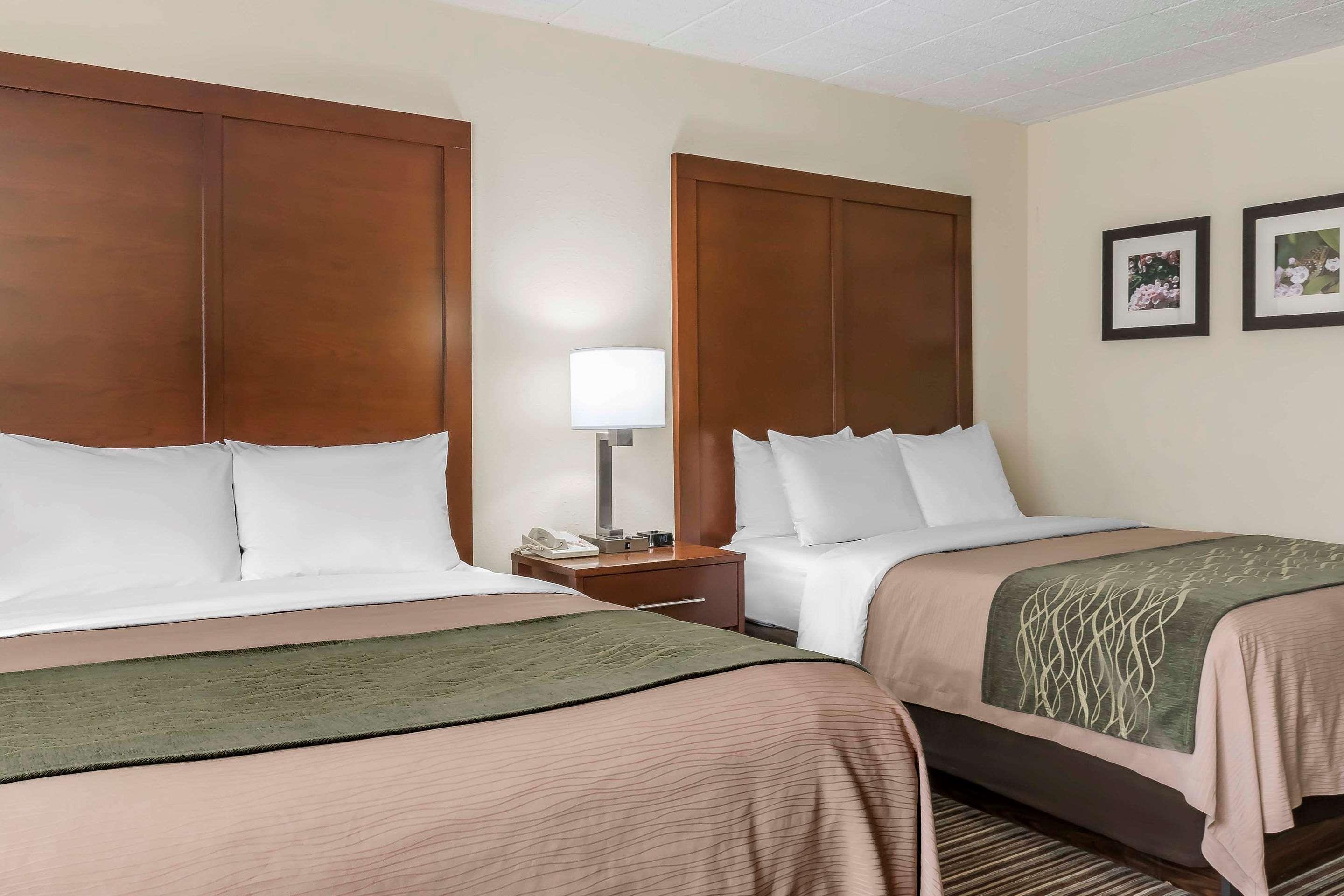 Comfort Inn - Pocono Mountains White Haven Kültér fotó
