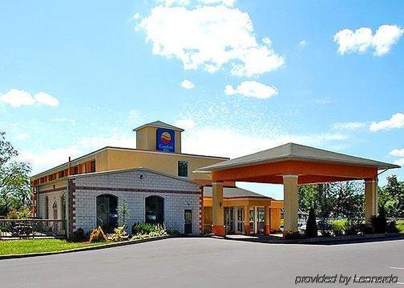 Comfort Inn - Pocono Mountains White Haven Kültér fotó