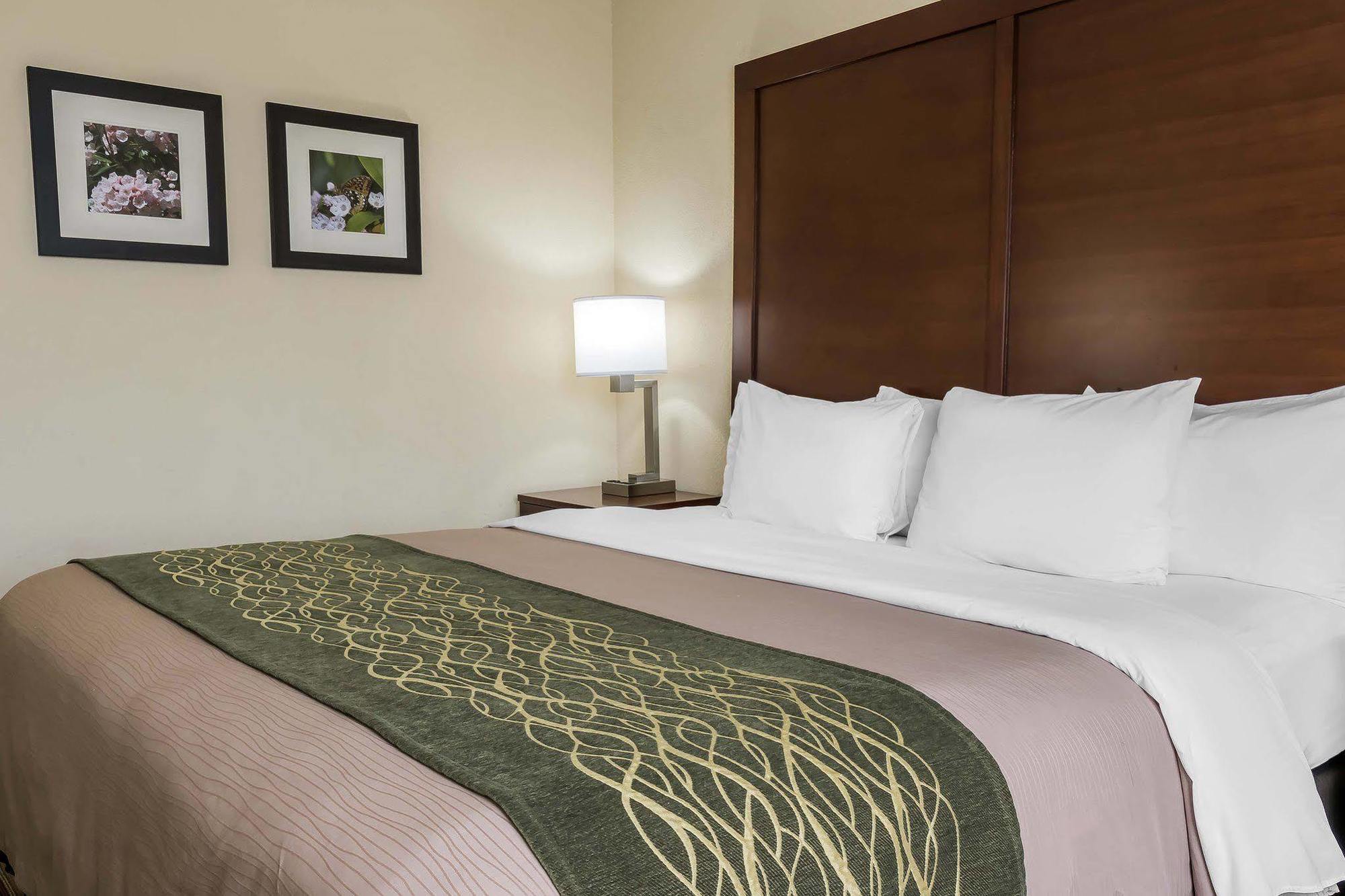 Comfort Inn - Pocono Mountains White Haven Kültér fotó